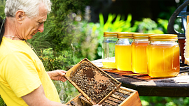 Jak poznat kvalitní med: Zkušený včelař radí, čeho si při nákupu všímat, abyste nenaletěli a nekoupili „obarvený“ cukr