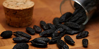 Exotická ingredience jménem fazole tonka: Při zpracování zastudena chutnají po medu, za tepla připomínají vanilku