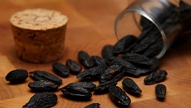 Exotická ingredience jménem fazole tonka: Při zpracování zastudena chutnají po medu, za tepla připomínají vanilku