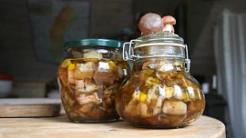 Houby naložené v sádle nebo v soli: Dva tradiční způsoby, jak si uchovat poklady z lesa na zimu