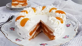 Holka u plotny radí: Jak na babiččin nepečený dort ze dvou surovin? Zvládnete to za 5 minut!