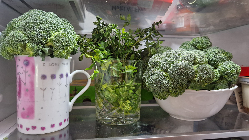 Brokolice do lednice: Otestovali jsme tip, který funguje. Takhle vydrží brokolice čerstvá déle než týden