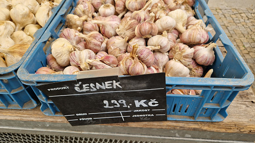 Farmářka mi prozradila nejlepší způsob uchování česneku. Takhle vydrží i v obýváku v paneláku celou zimu