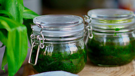 Pesto z medvědího česneku vydrží měsíce: Jak ho připravit a skladovat bez ztráty barvy i chuti
