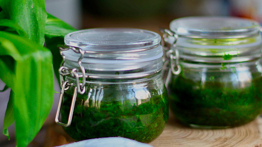 Pesto z medvědího česneku vydrží měsíce: Jak ho připravit a skladovat bez ztráty barvy i chuti