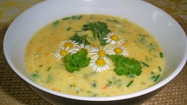 Výbornou jarní polévku skvěle dochutí nejen kořenová zelenina, ale i muškátový oříšek a vajíčko