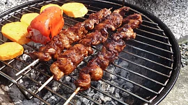 Grilování v Česku: Velký přehled, kde a za kolik si zagrilovat ve městě. Někde to jde zadarmo, jinde od 50 korun na hodinu