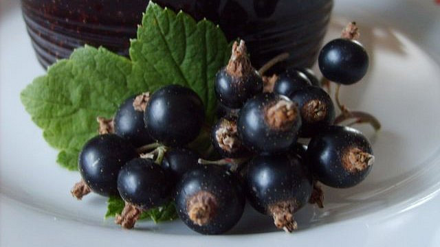 Co s černým rybízem? Upečte koláčky, zpracujte ho do zavařeniny, do sirupu nebo do omáčky na grilované maso Co s černým rybízem? Upečte koláčky, zpracujte ho do zavařeniny, do sirupu nebo do omáčky na grilované maso