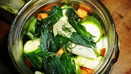 Jak na nakládané cukety: Křupavost zajistí správná sůl a tenhle osvědčený postup