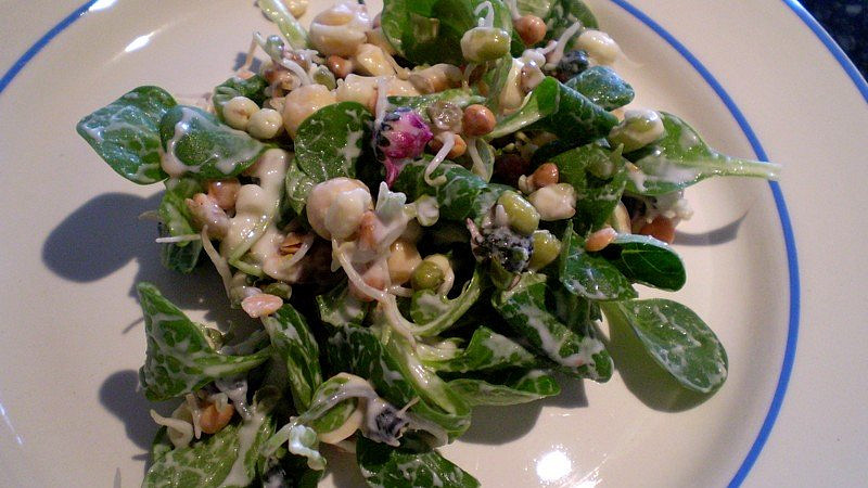 Detoxikační jarní salát se sedmikráskami a polníčkem