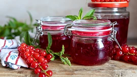 Rybízový džem jen ze dvou ingrediencí: Stačí si rozmyslet, jaký druh rybízu využít, a pak se držet osvědčených rad