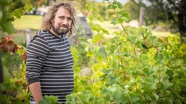 Vinař Michal Závada: Letošní burčák je kvalitní, litr pořídíte už od 80 korun a hlava vás z něj bolet nebude, když dodržíte jednu zásadu