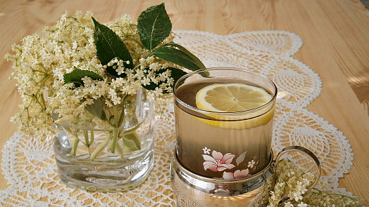 Bezový sirup jako od babičky: Výrazně voní a luxusně chutná, základem úspěchu je ve správnou dobu nasbírat rozvité květy