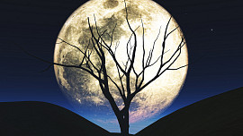 Superúplněk 2025 přeje hubnutí: Těchto 5 snadných kroků pomůže shodit pár kilo před Vánoci i bez stresu