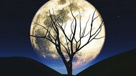 Superúplněk 2025 přeje hubnutí: Těchto 5 snadných kroků pomůže shodit pár kilo před Vánoci i bez stresu