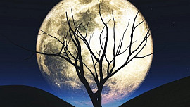 Prosincový superúplněk zasáhne do našich jídelníčků: Býci půjdou po kvalitě, Lvi budou bojovat s chutěmi, Raci vsadí na polévky