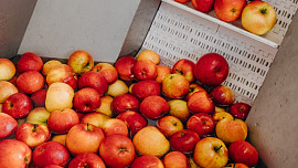 Moštování jablek 2023: Velký přehled farem z Čech i z Moravy, kde vám za pár korun zpracují jablka, nebo prodají vlastní mošt