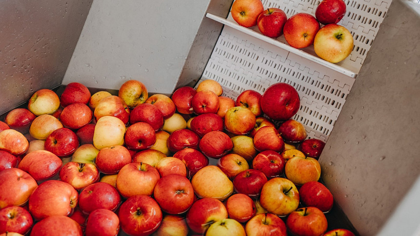 Moštování jablek 2023: Velký přehled farem z Čech i z Moravy, kde vám za pár korun zpracují jablka, nebo prodají vlastní mošt