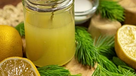 Voňavý smrkový sirup a med, to je jarní síla lesa ve sklenici: Právě teď je čas vyrazit na sběr mladých výhonků
