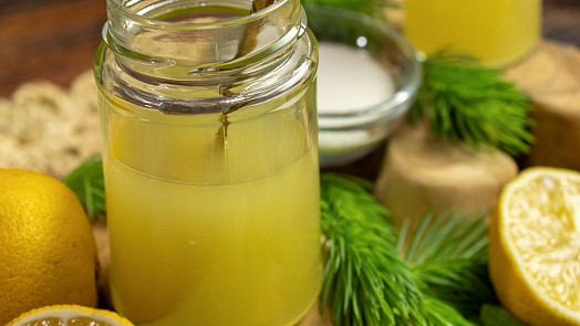 Voňavý smrkový sirup a med, to je jarní síla lesa ve sklenici: Právě teď je čas vyrazit na sběr mladých výhonků
