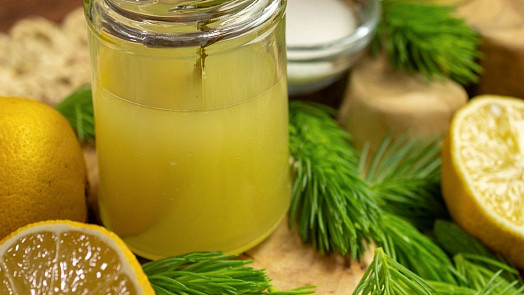 Voňavý smrkový sirup a med, to je jarní síla lesa ve sklenici: Právě teď je čas vyrazit na sběr mladých výhonků