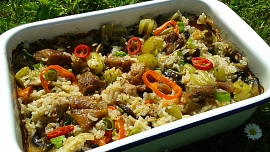 Z jednoho pekáčku: Tahle jídla jsou skoro bez práce. Dáte si kuře s rýží nebo hovězí s nudlemi?