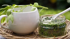 5 zaručených tipů, jak si uchovat libeček na zimu: Vydrží v mrazáku, sušený, naložený v oleji nebo jako součást domácí „vegety“