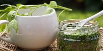 Jak nejlépe zpracovat libeček? Usušte ho, zmrazte nebo si přichystejte vynikající pesto či aromatické domácí maggi