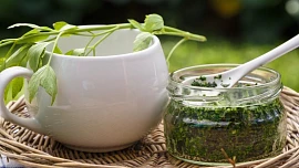 Jak nejlépe zpracovat libeček? Usušte ho, zmrazte nebo si přichystejte vynikající pesto či aromatické domácí maggi