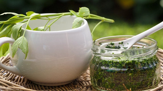 Jak nejlépe zpracovat libeček? Usušte ho, zmrazte nebo si přichystejte vynikající pesto či aromatické domácí maggi