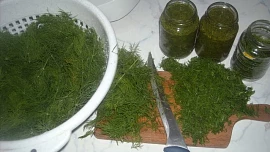Kopr ve sladkokyselém nálevu: Klasický recept s cukrem, octem a solí je snadný na přípravu a zvládne jej každý