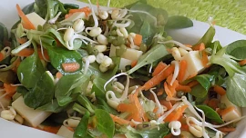 Domácí naklíčená semínka pro ochucení jídel i lepší imunitu: Vypěstujeme si je doma snadno v PET láhvi nebo v zavařovačce