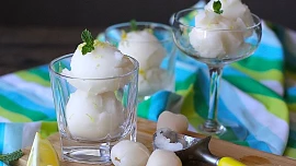 Sorbet, šerbet, dřeň nebo tříšť? Ledové osvěžení jako z luxusní restaurace připravíte během pár minut