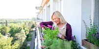 Jak proměnit holý balkon v zelenou oázu klidu