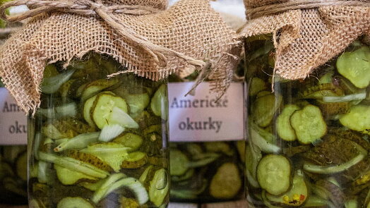 Přerostlé nakládačky už nemusíte vyhazovat. Vyzkoušejte pikantní americké okurky a určitě si je zamilujete