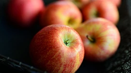 Letní jablka dozrávají: V lednici skladujte jen kusy v dobrém stavu a nanejvýš dva týdny