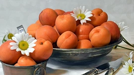10 faktů o meruňkách, které jste možná nevěděli: Tohle dietní ovoce podle Konfucia rozvíjí vědomosti. Jak je skladovat?