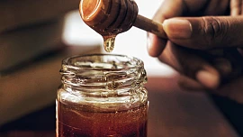 Mražený med: delikatesa nebo jed? Odpověď medového sommeliera vás možná překvapí!