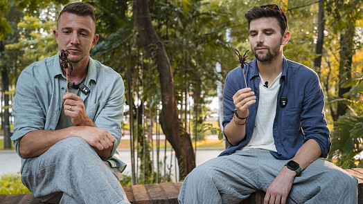 Reality show Asia Express nabídne nový pohled na asijskou kuchyni: Smažené žáby i tarantule jako lahůdky pro soutěžící