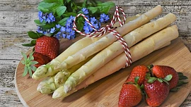 Co víme o čekance a chřestu