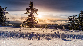 „Jak na Nový rok, tak po celý rok.“ Co nám prozradí lednové pranostiky o počasí, jídelníčku i průběhu roku