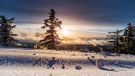 „Jak na Nový rok, tak po celý rok.“ Co nám prozradí lednové pranostiky o počasí, jídelníčku i průběhu roku