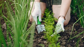Co je třeba udělat v květnu, abychom se na zahradě dočkali úrody? Tento měsíc je ve znamení sázení, zalévání i boje se slimáky