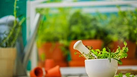 Blahodárné bylinky by měly patřit do každé kuchyňky