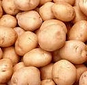 Co víme o bramborách