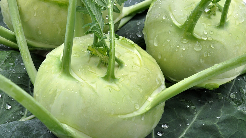 Kedlubna, nebo kedluben? Zdánlivě obyčejná zelenina obsahuje vzácný vitamín K