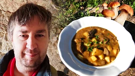 Houbařská sezóna 2023: Mykolog Petr Souček radí, kdy a kam letos vyrazit na houby a podle čeho poznáme, že už rostou