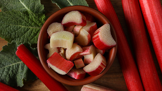 Kdy loupat rebarboru a kdy ne: Rozhoduje stáří stonků i jednoduchý test vláken