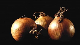 Obyčejná cibule jako svatební dar? Ve středověku to byla obrovská pocta