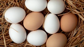 Vejce nemusíte nutně skladovat jen v lednici: Farmářka prozradila, co rozhoduje o jejich trvanlivosti